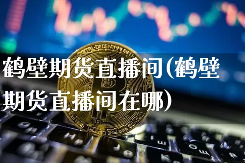 鹤壁期货直播间(鹤壁期货直播间在哪)_https://www.dcjwmf.com_广期所_第1张