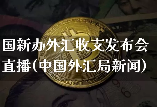 国新办外汇收支发布会直播(中国外汇局新闻)_https://www.dcjwmf.com_广期所_第1张