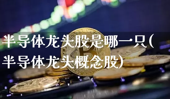 半导体龙头股是哪一只(半导体龙头概念股)_https://www.dcjwmf.com_大商所_第1张