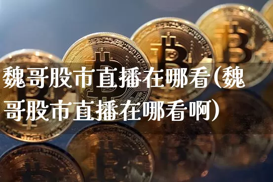 魏哥股市直播在哪看(魏哥股市直播在哪看啊)_https://www.dcjwmf.com_中金所_第1张