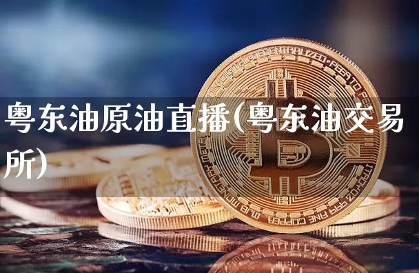 粤东油原油直播(粤东油交易所)_https://www.dcjwmf.com_大商所_第1张