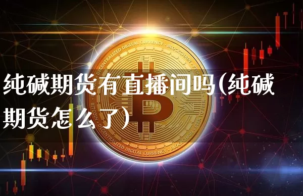 纯碱期货有直播间吗(纯碱期货怎么了)_https://www.dcjwmf.com_上期所_第1张