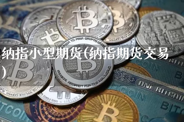 纳指小型期货(纳指期货交易)_https://www.dcjwmf.com_上期所_第1张