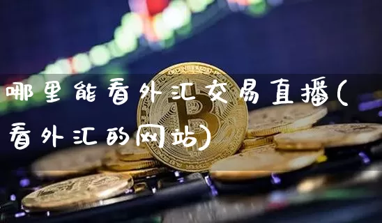 哪里能看外汇交易直播(看外汇的网站)_https://www.dcjwmf.com_广期所_第1张