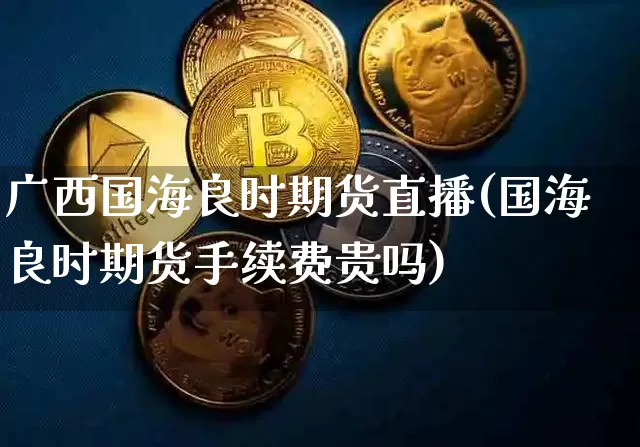 广西国海良时期货直播(国海良时期货手续费贵吗)_https://www.dcjwmf.com_中金所_第1张