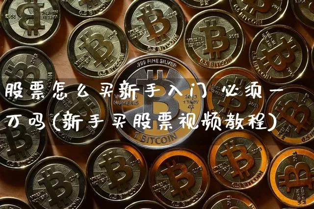 股票怎么买新手入门 必须一万吗(新手买股票视频教程)_https://www.dcjwmf.com_广期所_第1张