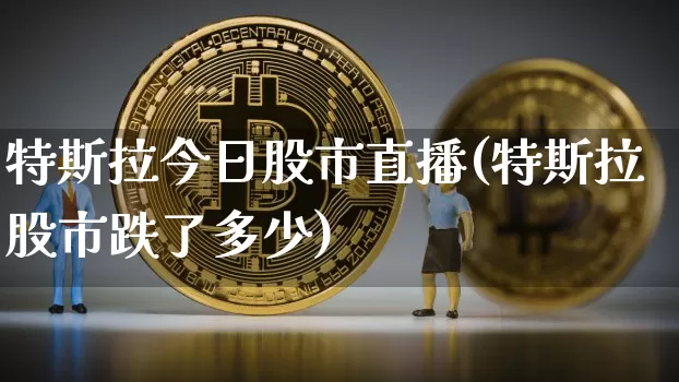 特斯拉今日股市直播(特斯拉股市跌了多少)_https://www.dcjwmf.com_上期能源_第1张