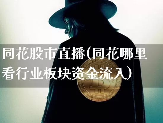 同花股市直播(同花哪里看行业板块资金流入)_https://www.dcjwmf.com_上期所_第1张