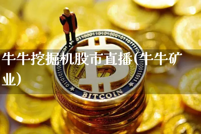 牛牛挖掘机股市直播(牛牛矿业)_https://www.dcjwmf.com_郑商所_第1张
