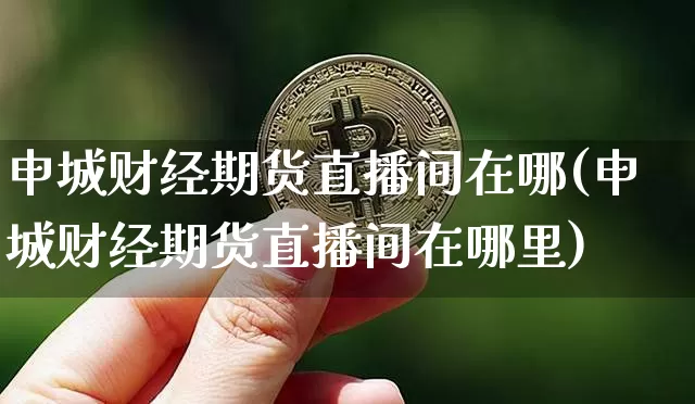 申城财经期货直播间在哪(申城财经期货直播间在哪里)_https://www.dcjwmf.com_上期能源_第1张