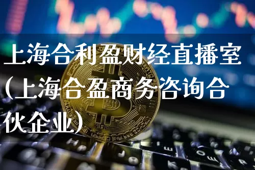 上海合利盈财经直播室(上海合盈商务咨询合伙企业)_https://www.dcjwmf.com_大商所_第1张