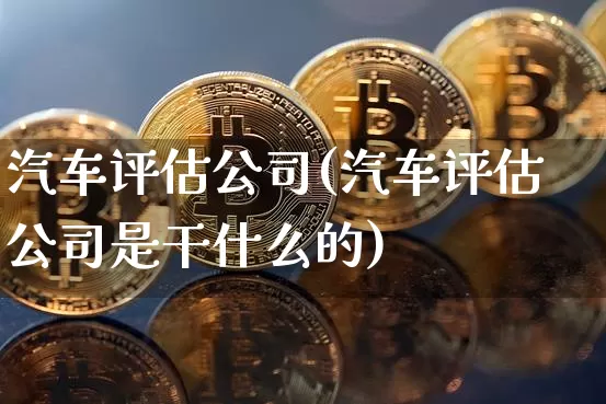 汽车评估公司(汽车评估公司是干什么的)_https://www.dcjwmf.com_郑商所_第1张