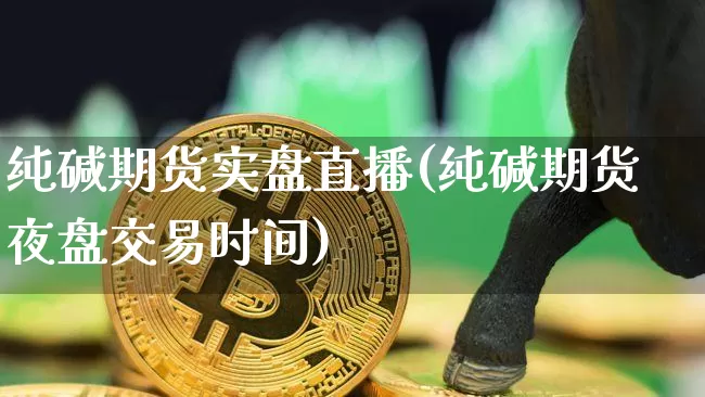 纯碱期货实盘直播(纯碱期货夜盘交易时间)_https://www.dcjwmf.com_中金所_第1张